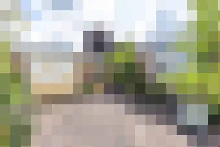 De Bou 44 Beetsterzwaag thumbnail 33