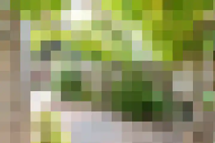 De Bou 44 Beetsterzwaag thumbnail 35