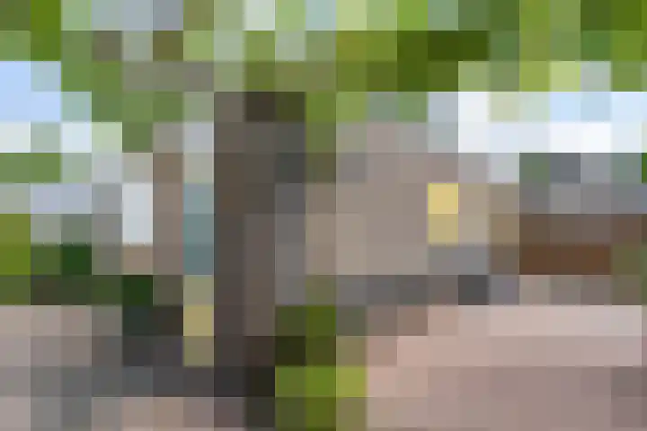 De Bou 44 Beetsterzwaag thumbnail 36