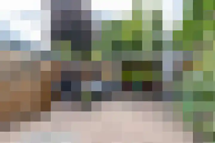 De Bou 44 Beetsterzwaag thumbnail 37