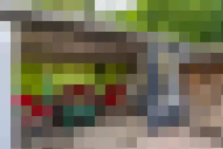 De Bou 44 Beetsterzwaag thumbnail 38