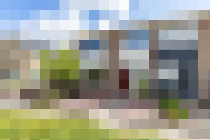 De Bou 44 Beetsterzwaag thumbnail 4