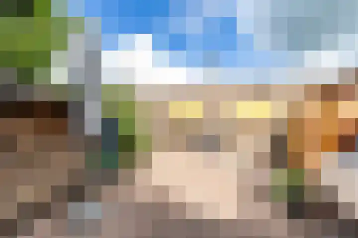 De Bou 44 Beetsterzwaag thumbnail 40