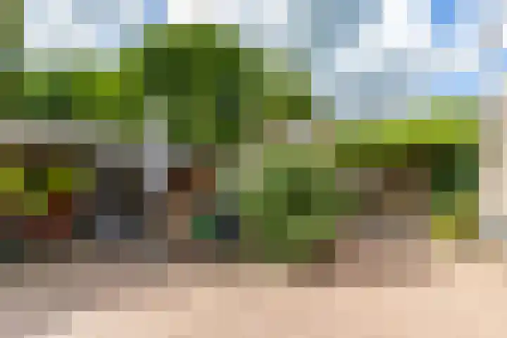 De Bou 44 Beetsterzwaag thumbnail 41