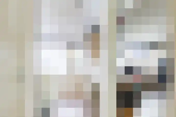 De Bou 44 Beetsterzwaag thumbnail 42