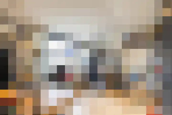 De Bou 44 Beetsterzwaag thumbnail 45