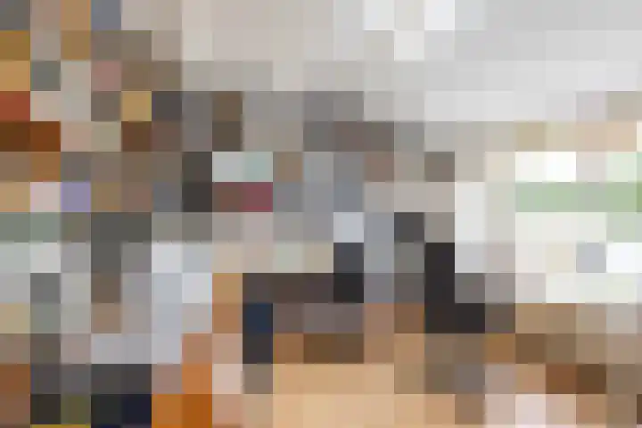 De Bou 44 Beetsterzwaag thumbnail 46