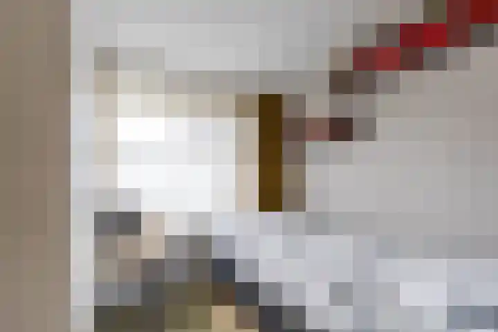 De Bou 44 Beetsterzwaag thumbnail 47