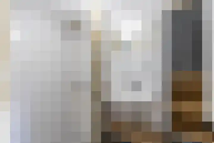 De Bou 44 Beetsterzwaag thumbnail 48