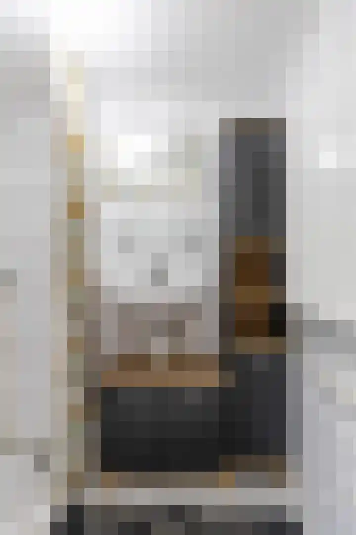 De Bou 44 Beetsterzwaag thumbnail 49
