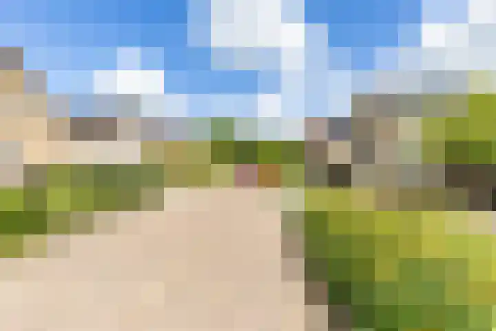 De Bou 44 Beetsterzwaag thumbnail 5