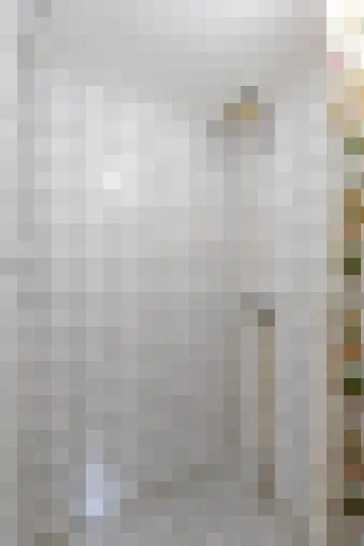 De Bou 44 Beetsterzwaag thumbnail 50