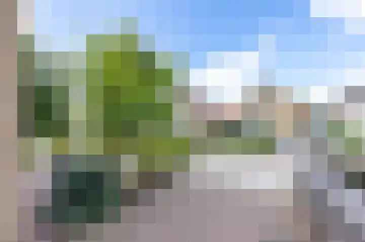 De Bou 44 Beetsterzwaag thumbnail 7