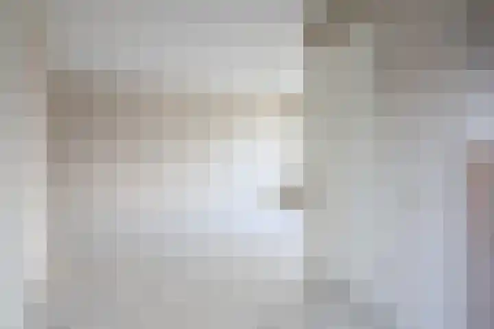 De Bou 7 Oppenhuizen thumbnail 10
