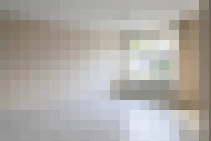 De Bou 7 Oppenhuizen thumbnail 11