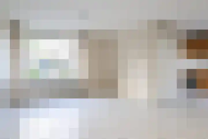 De Bou 7 Oppenhuizen thumbnail 13