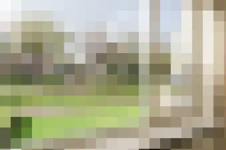 De Bou 7 Oppenhuizen thumbnail 14