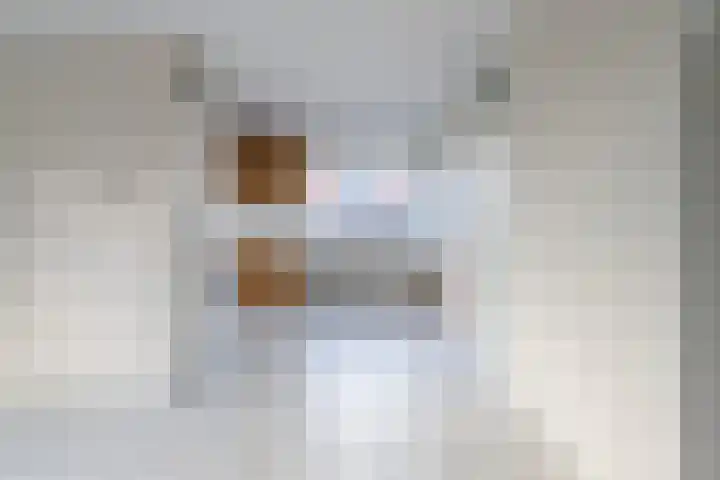 De Bou 7 Oppenhuizen thumbnail 17