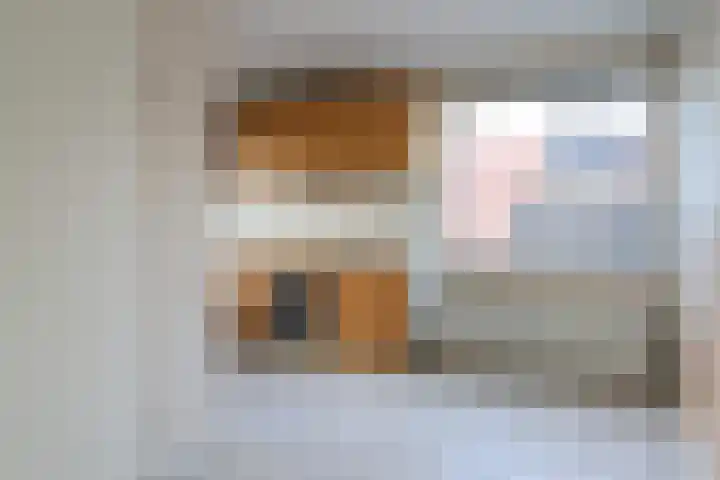 De Bou 7 Oppenhuizen thumbnail 18