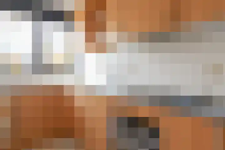 De Bou 7 Oppenhuizen thumbnail 19