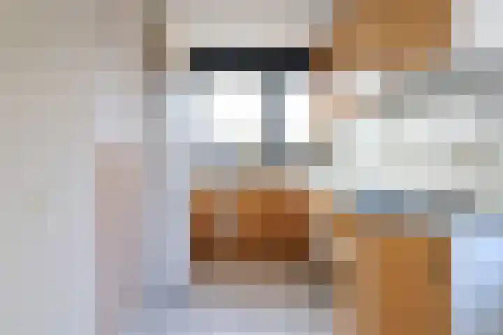 De Bou 7 Oppenhuizen thumbnail 20