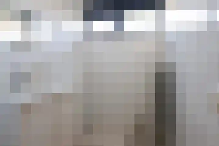 De Bou 7 Oppenhuizen thumbnail 24