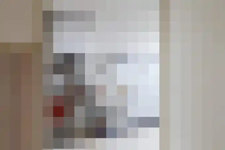 De Bou 7 Oppenhuizen thumbnail 26