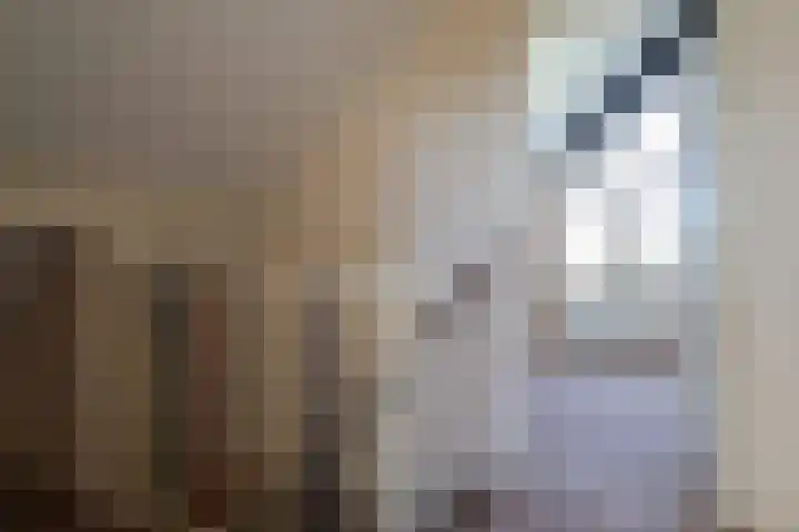 De Bou 7 Oppenhuizen thumbnail 29