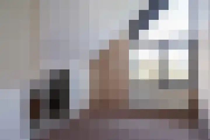 De Bou 7 Oppenhuizen thumbnail 30