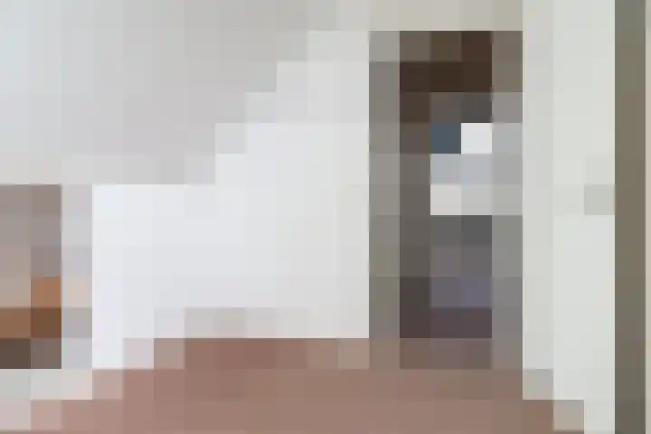 De Bou 7 Oppenhuizen thumbnail 34