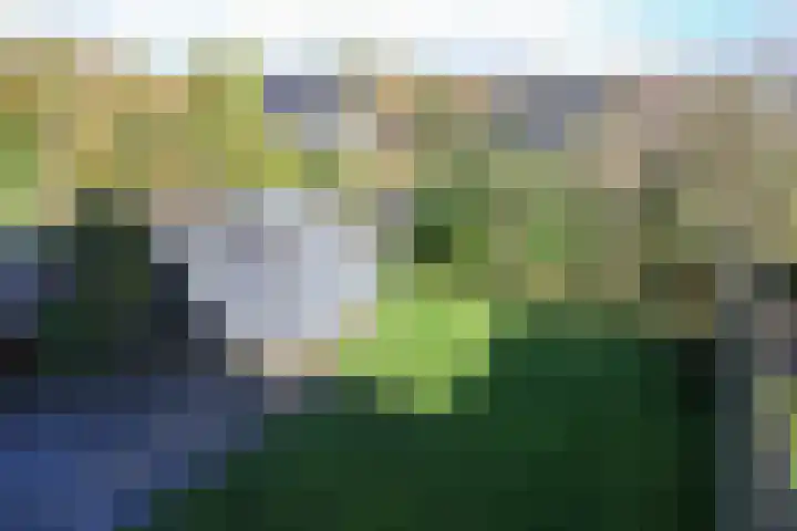 De Bou 7 Oppenhuizen thumbnail 35