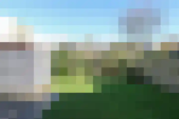 De Bou 7 Oppenhuizen thumbnail 37