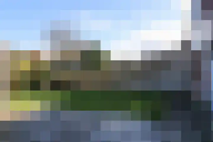 De Bou 7 Oppenhuizen thumbnail 38