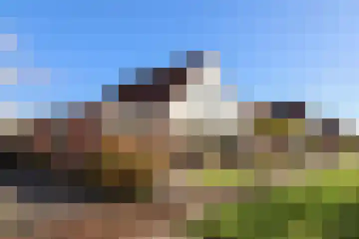 De Bou 7 Oppenhuizen thumbnail 4