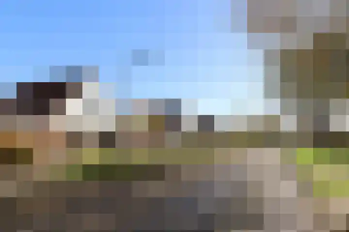 De Bou 7 Oppenhuizen thumbnail 43