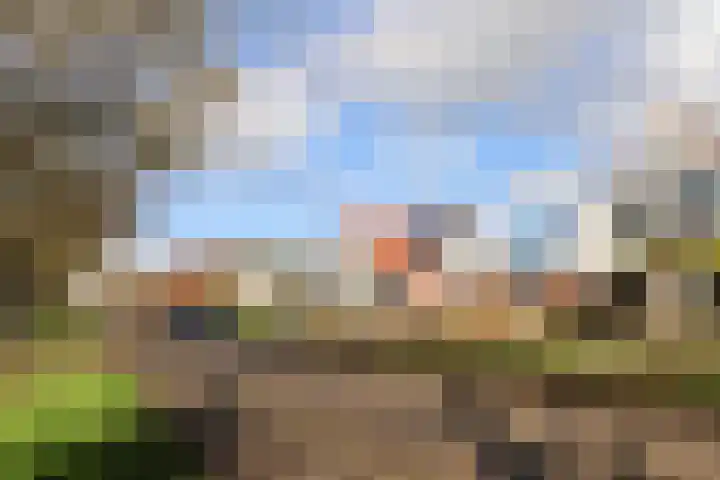 De Bou 7 Oppenhuizen thumbnail 44
