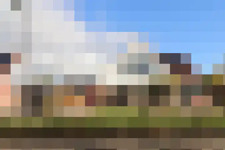 De Bou 7 Oppenhuizen thumbnail 5