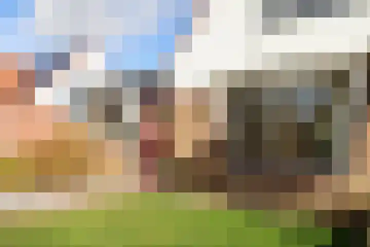 De Bou 7 Oppenhuizen thumbnail 6