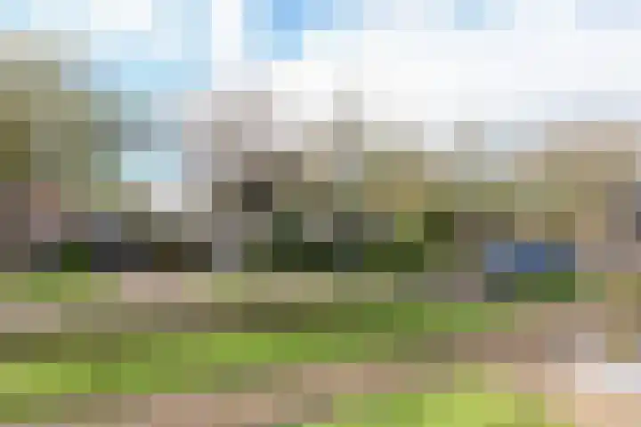 De Bou 7 Oppenhuizen thumbnail 7