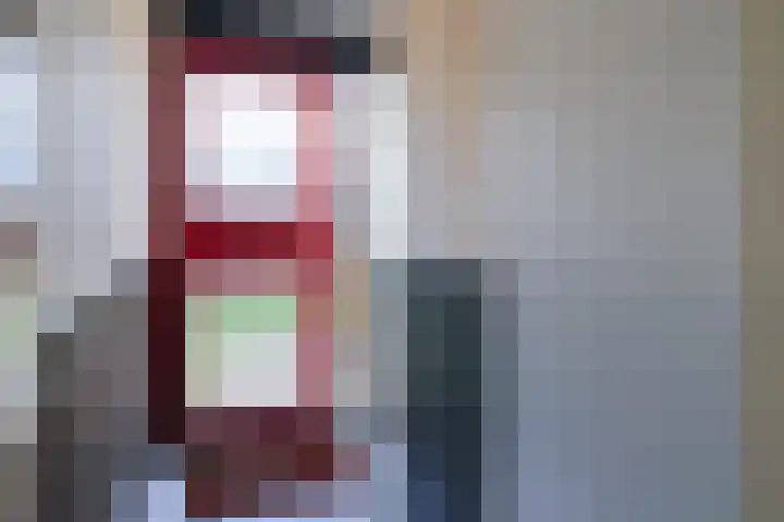De Bou 7 Oppenhuizen thumbnail 9