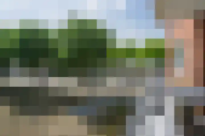 De Boulevard 102 Bergen op Zoom thumbnail 10