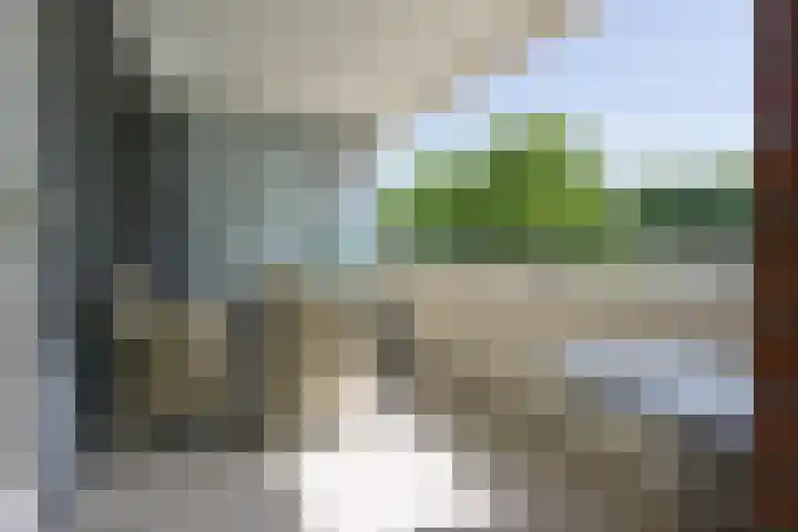 De Boulevard 102 Bergen op Zoom thumbnail 11