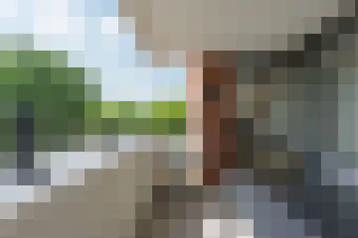 De Boulevard 102 Bergen op Zoom thumbnail 19