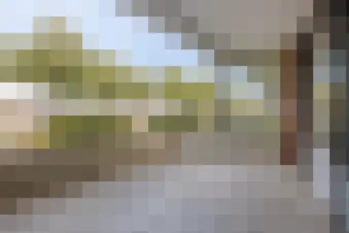 De Boulevard 2 Bergen op Zoom thumbnail 14