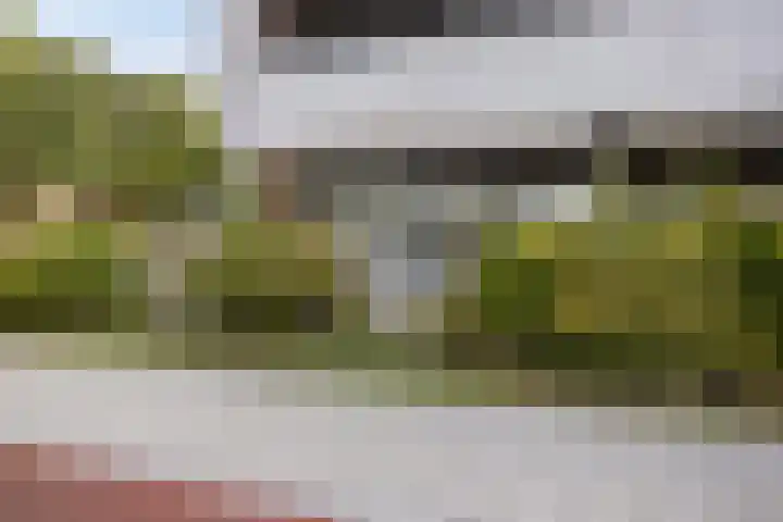 De Boulevard 2 Bergen op Zoom thumbnail 16