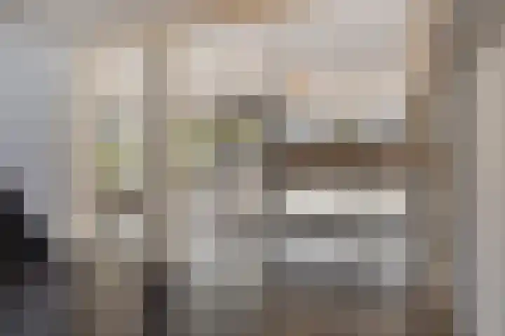 De Boulevard 2 Bergen op Zoom thumbnail 18