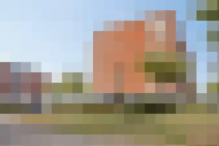 De Boulevard 2 Bergen op Zoom thumbnail 19
