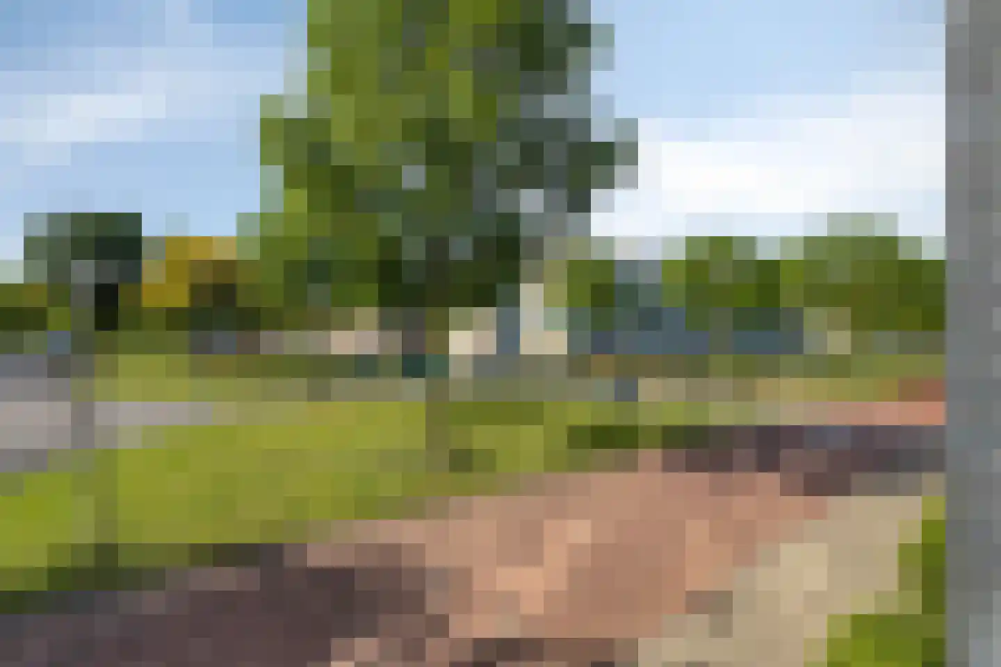 De Boulevard 203 Bergen op Zoom thumbnail 16