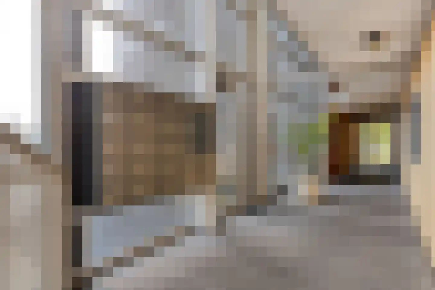 De Boulevard 203 Bergen op Zoom thumbnail 34