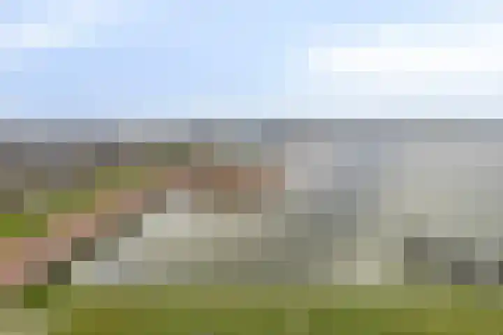 De Boulevard 237 Bergen op Zoom thumbnail 36
